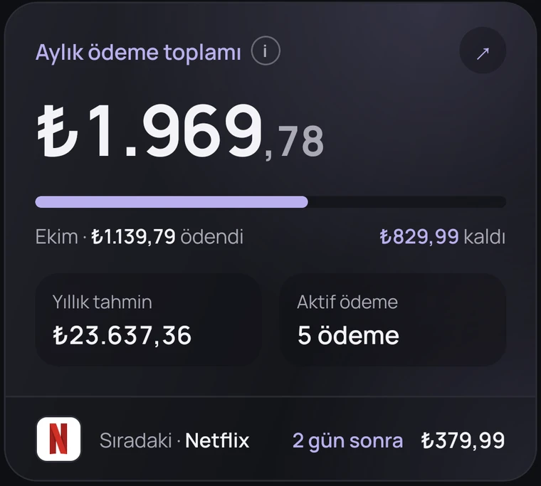 Aylık ödeme toplamı kartı