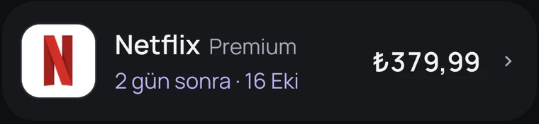 Netflix ödemesi